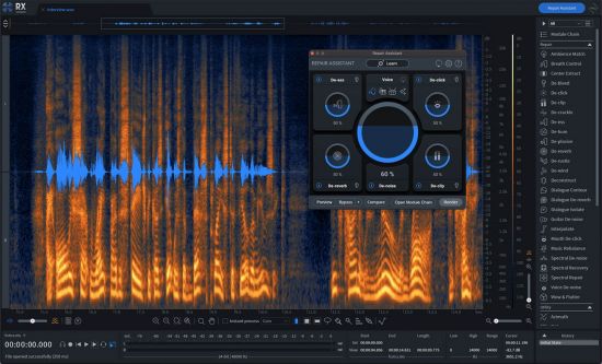 iZotope RX 10 Audio Editor Advanced v10.4.0 U2B macOS